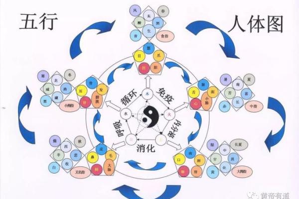 五行格局如何改变？沙五行带你走出性格困境