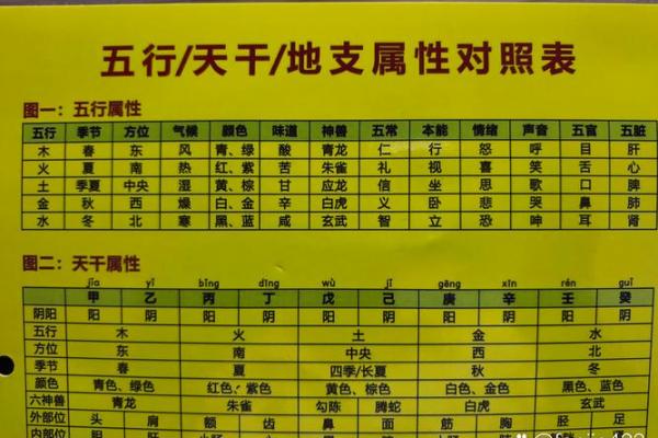 曦的五行格局揭秘:性格解析中的阴阳平衡之道 曦的五行格局揭秘:性格解析中的阴阳平衡之道