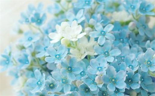 2026年农历五月廿八领证算不算好日子？ 登记结婚算好日子？