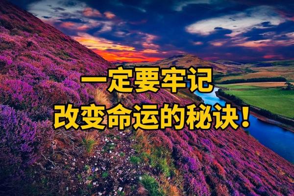 八字命理新论：改变命运从这一步开始