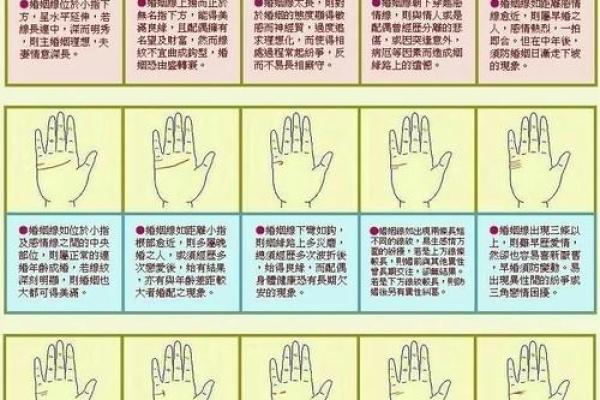 霍建华的命运密码：八字命理中的暗藏玄机