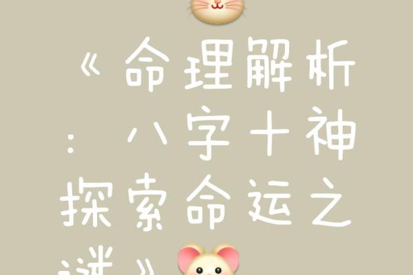 命理风水师如何解锁你的命运密码，改变未来走向？