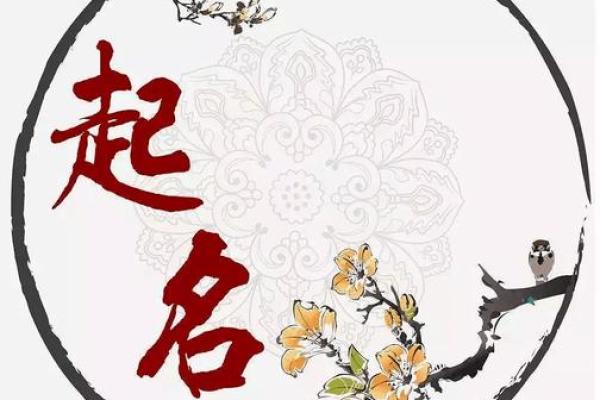 林忆莲八字解读：如何改变命运？颠覆传统思维的玄机