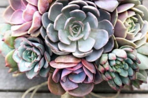 2025年05月11日领证是黄道吉日不？ 领证结婚能算好日子吗